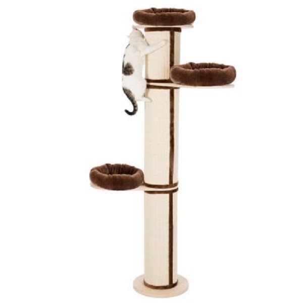 cat post floor to ceiling