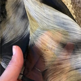 Anne Fontaine Women&rsquo;s Blouse Ruffle Silk Corset Back Fairy Goth Medieval Size 0