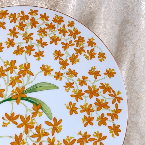 Hermes Presentation Large Plate Jardin des Orchidees No.1 Porcelain Tableware - Picture 2 of 13