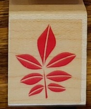 Compound Leaves Leaf Plant Rubber Stamp Fall Autumn