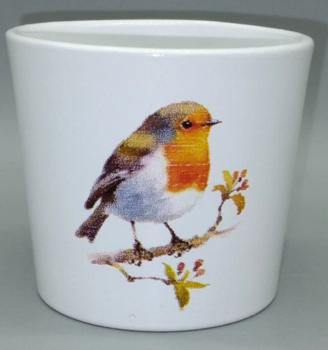 Scheurich Mini Flower Pot Succulent/Cactus Red Robin