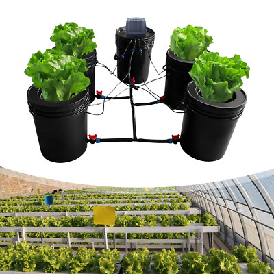 New 5-Gallon Hydroponics Grow System Recirculating Deep Water Culture Kit 5 Pots