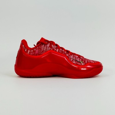 Nike Lebron XXIII 'Best in Class' IH1513-601 Basketball Multi Size