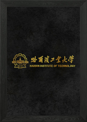 Harbin Institute Tech HIT Framed Wall Art Poster Canvas Print Picture