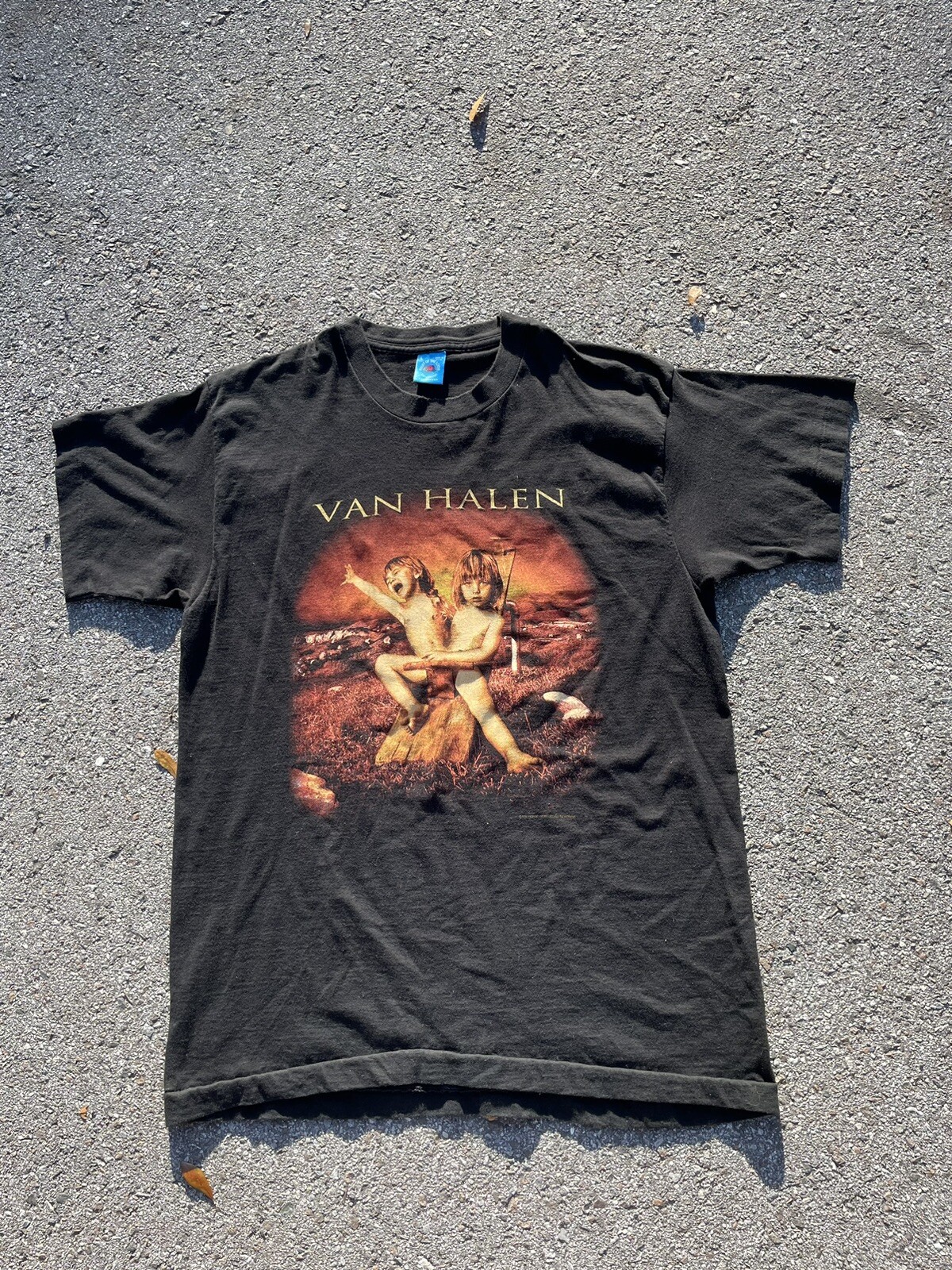 VAN HALEN BALANCE WORLD TOUR 1995 Tシャツ サイズL FRUIT OF THE