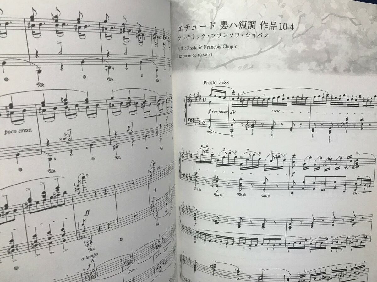 Your Lie in April OP Sheet music for Piano (Solo)