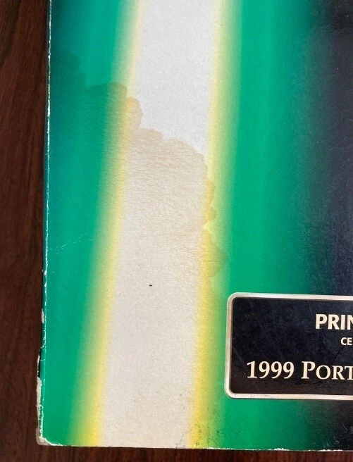 Figura de la princesa Leia de Star Wars lanzada por TOMY 1999 EDICIÓN RETRATO rara Foto 3 de 4