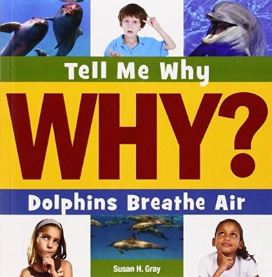 Dolphins Breathe Air (Tell Me - GOOD