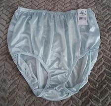 Teri Lingerie Womens Pastal Blue Brief Panties Size 8