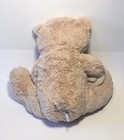 Foto 3 di 7