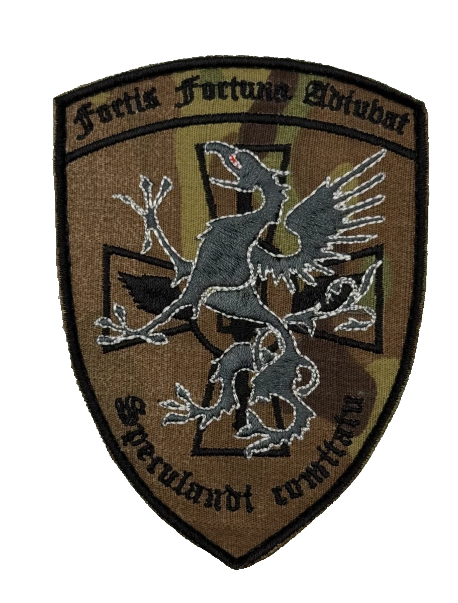Ukraine Military Patch 47th Brigade Magura Recon Company Dragon Morale Badge