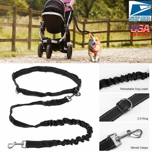 dog jogging belt