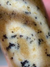 Tibetan Agate Dzi Bead " 6 Eyes " Amulet Pendant 59.5mm x 14mm