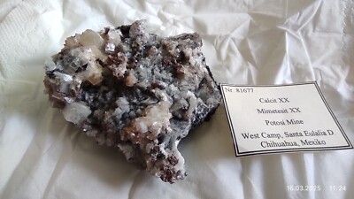 Calcit xx Mimetesit xx  Potosi Mine West Camp Santa Eulalia Chihuahua