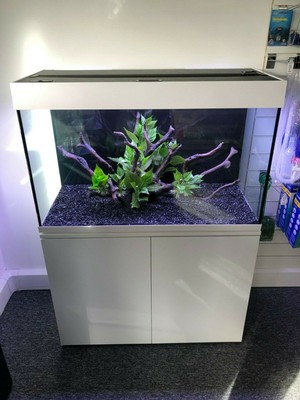 black and white fish tank decorations