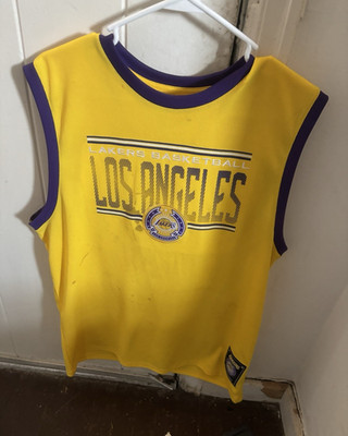 Nike LeBron James #6 Los Angeles Lakers Yellow/Purple NBA Jersey Men's L