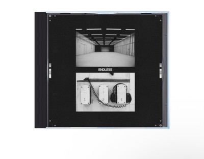 Купить frank ocean endless vinyl sealed unopened (125649250038), США