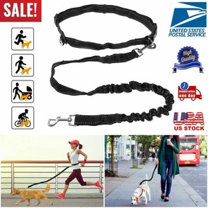 retractable waist leash