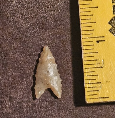 13/16'' Neolithic Prehistoric Triangular Bird Point Gem Quality Translucent.