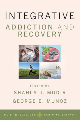 Integrative Addiction and Recovery Shahla Modir (u. a.) Taschenbuch Englisch