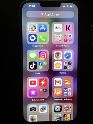 13 Pro Max / TikTok 