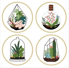 4pcs Plant Embroidery Starter Kit for Beginners Cactus Cross Stitch Kits for ...