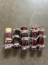 5 Rooted Dark Purple Sugarcane Cutting Sweet And Juicy Ready To Plant
