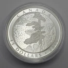 2015 Canada $15 23.17g .9999 Silver Proof Coin Round - The Upper Ottawa River
