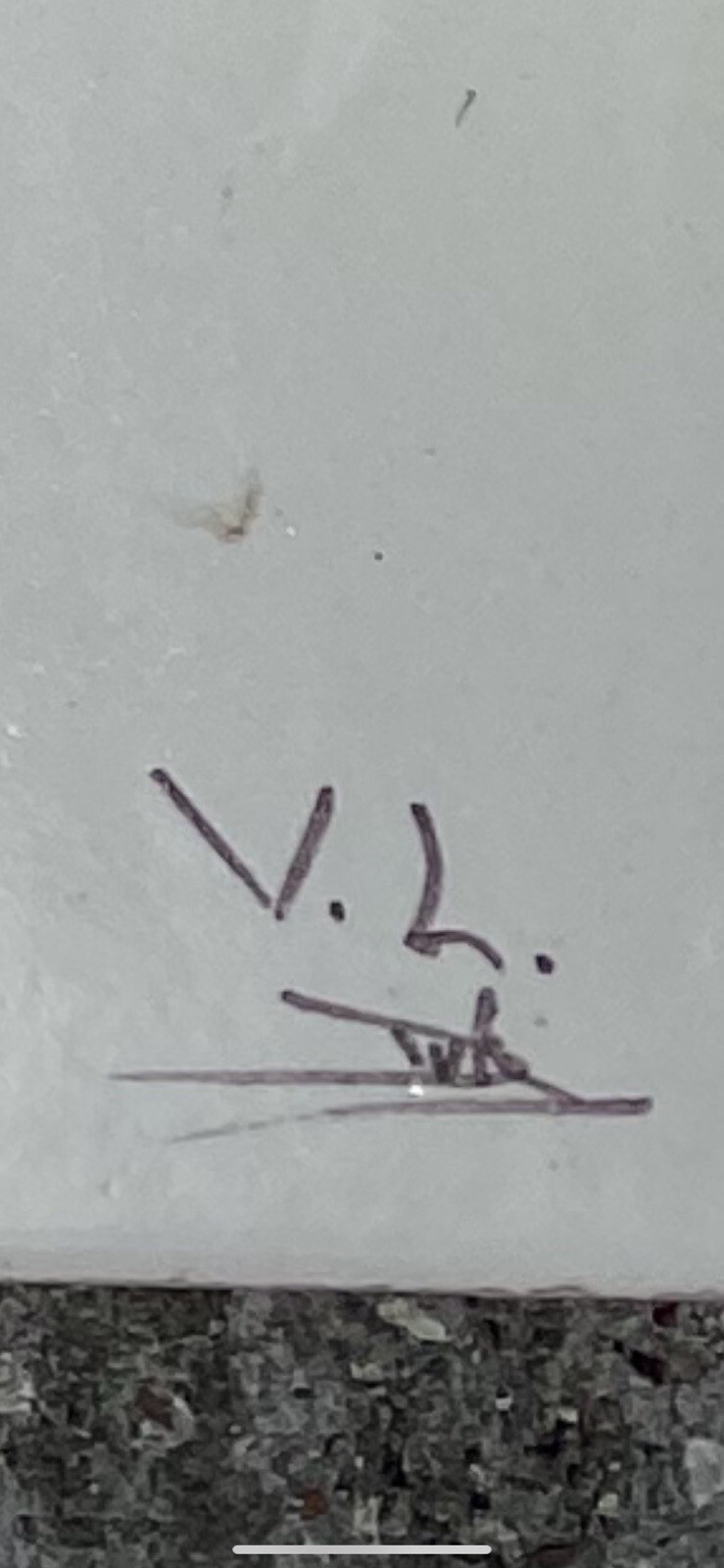 Picture 6 of 6