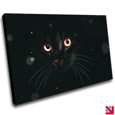 DUNKLE KATZE TIER LEINWANDBILD Wandbild Bild Druck