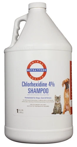 Chlorhexidine 4% Shampoo [Plum/Blueberry Scent] [Stratford] 1 Gallon