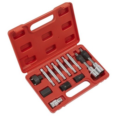 Sealey Freilaufentferner Set 13Teilig SX401