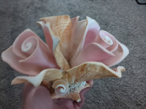 Conch Shell cut flower Bouquet Beach Cottage Hand Made