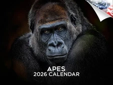 Apes Calendar 2026 12x18 Made in USA