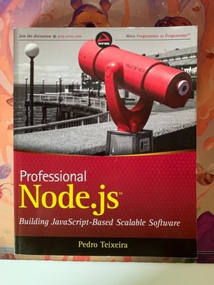 Professional Node.js: Building Java..., Teixeira, Pedro + Node Anfängerbuch