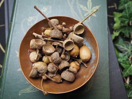 Herbs, Spices & Resins for Incense & Spell Making - Wicca, Pagan, Witchcraft - Picture 4 of 352