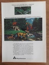 Weyerhaeuser Tree Farming Lumber Wildlife Water 1966 Vintage Print Ad