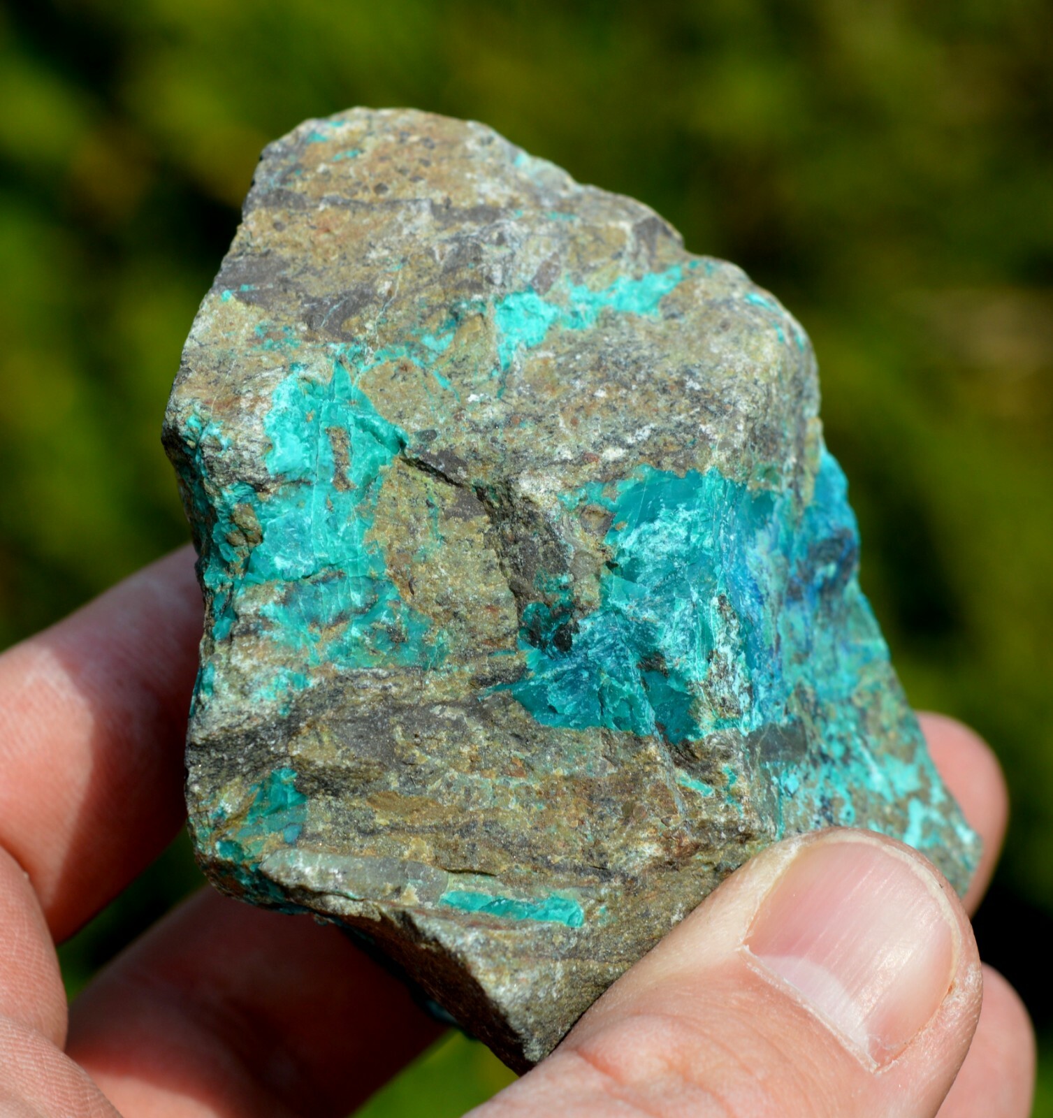 Chrysokoll - 301 Gramm - Lily Mine, Pisco Umay,Ica,Peru | eBay