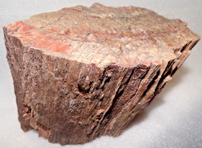 Araucarioxylon Petrified Wood 4 Lb 7.6 oz North AZ Chinle Formation