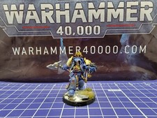 Warhammer 40k Space Marines Librarian ProPainted in Terminator Armour