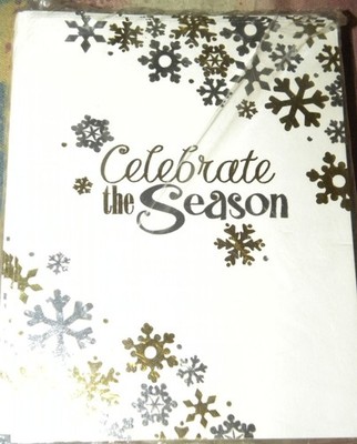 Set 10 Current Co. Blank Winter Christmas Holiday Thank You Cards NEW
