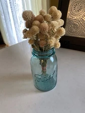 Creamy Off White Dried GLOBE AMARANTH Bunch BOUQUET Bundle DRIED FLOWERS Auc#1