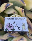 Alpha Delta Kappa Sorority Pin North Dakota Shaped With State Bird And Flower — photo 1