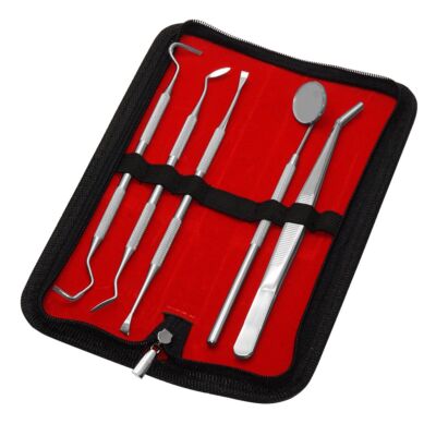 5er Dental Set Zahnpflege Zahnsteinentferner Zahnsonde Reinigung Mundspiegel 