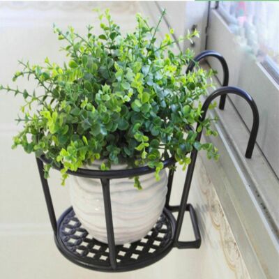 indoor tree plants Money Tree | Indoor Plants