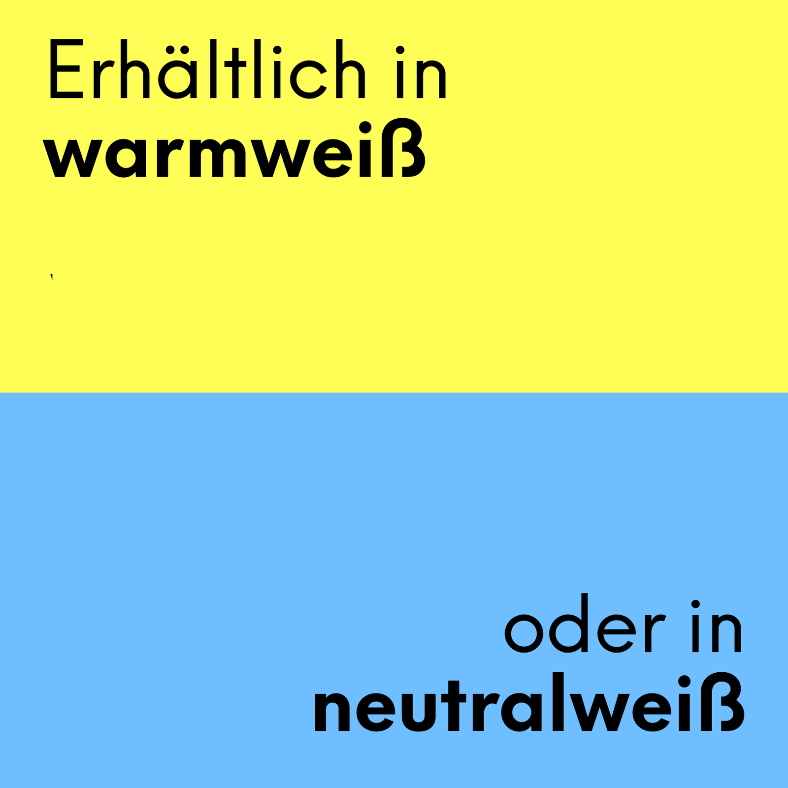 Bild 8 von 8