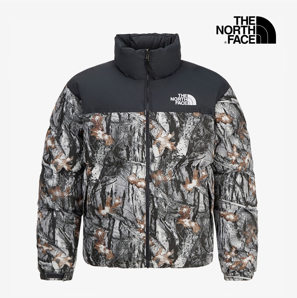 The North Face Korea M'S 1996 NOVELTY NUPTSE JACKET DOWN