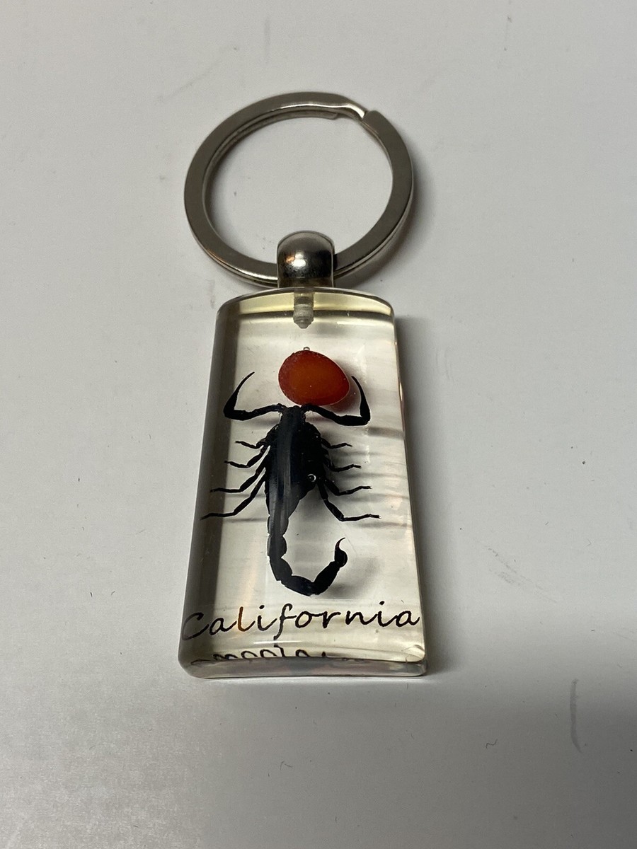 Vintage Scorpion w/ Blood CALIFORNIA Plexi Glass Key Chain Rare | eBay