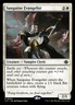 MTG Sanguine Evangelist (34/174) The Lost Caverns of Ixalan Promos LP - Stamped