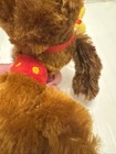 Foto 21 di 24